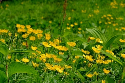 e0304001_21404737.jpg