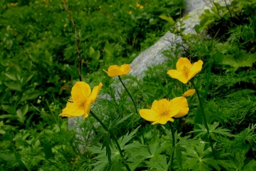 e0304001_21404939.jpg