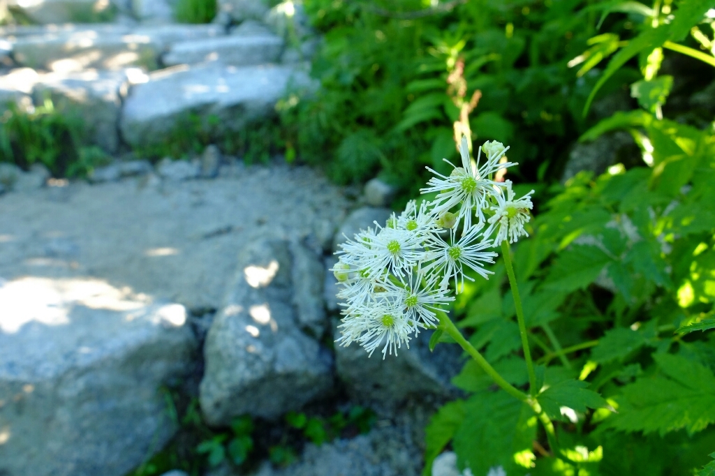 e0304001_21405072.jpg