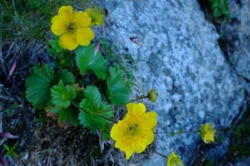 e0304001_21410484.jpg