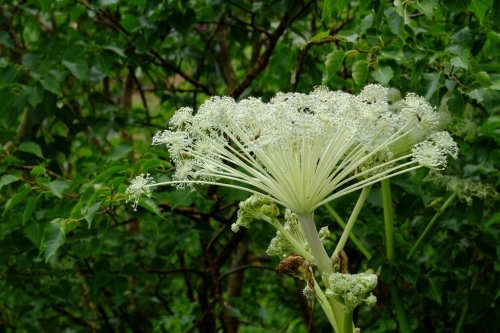 e0304001_21470763.jpg