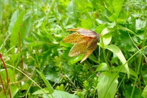 e0304001_21471282.jpg