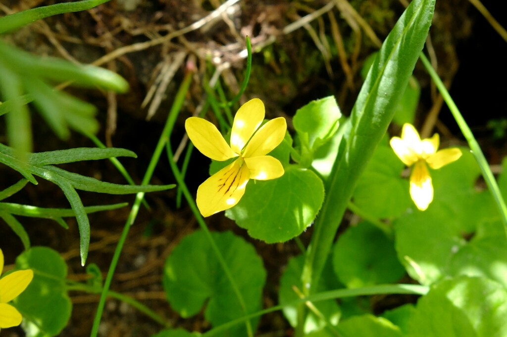 e0304001_21552821.jpg