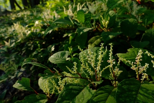 e0304001_22021660.jpg