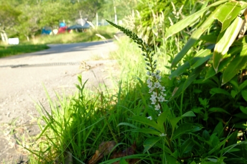 e0304001_22021870.jpg