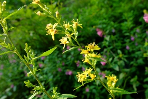 e0304001_22021972.jpg