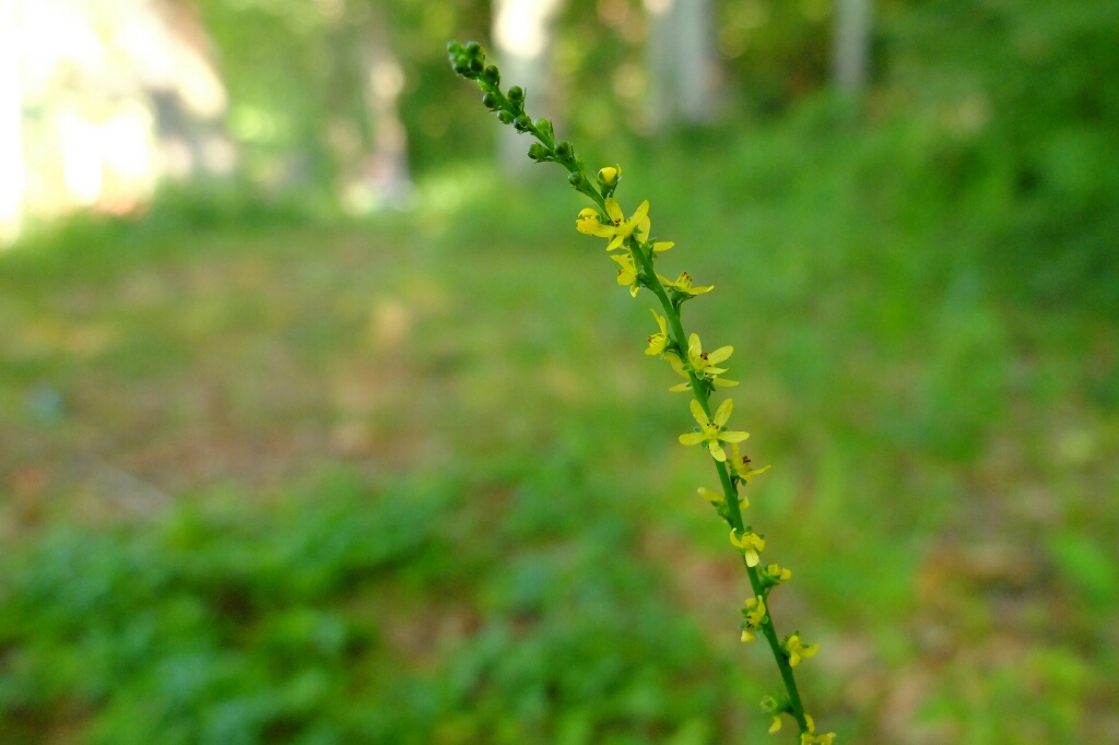 e0304001_22022320.jpg