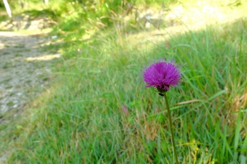 e0304001_22022848.jpg