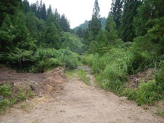 c0359615_07282876.jpg