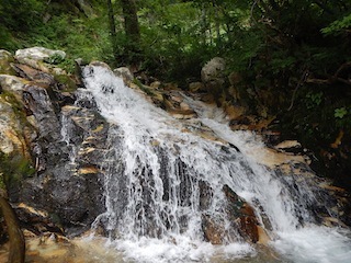 c0359615_07290618.jpg