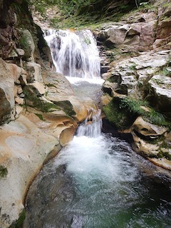 c0359615_07291605.jpg