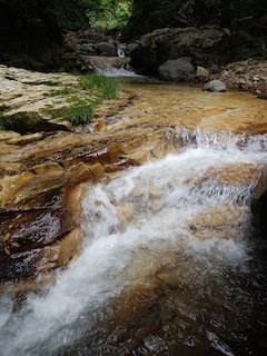 c0359615_07293041.jpg