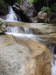 c0359615_07295548.jpg