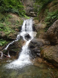 c0359615_07302241.jpg
