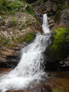 c0359615_07351159.jpg