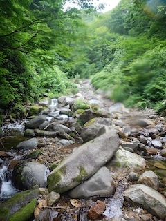 c0359615_07362200.jpg