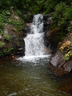 c0359615_07364258.jpg