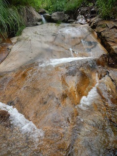 c0359615_07370779.jpg