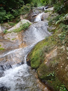 c0359615_07385994.jpg