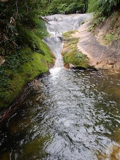 c0359615_07391803.jpg