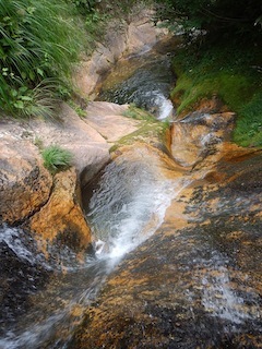 c0359615_07393569.jpg