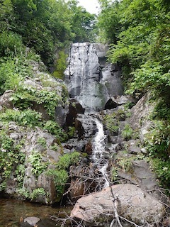 c0359615_07403512.jpg