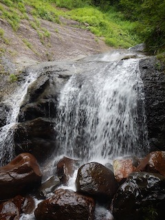 c0359615_08031105.jpg