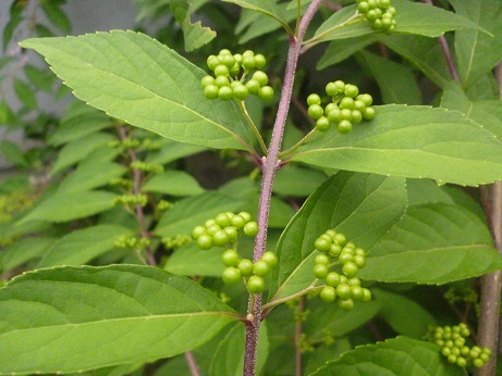 f0228619_22391165.jpg