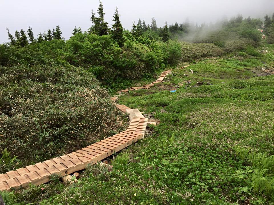 a0119132_09283706.jpg