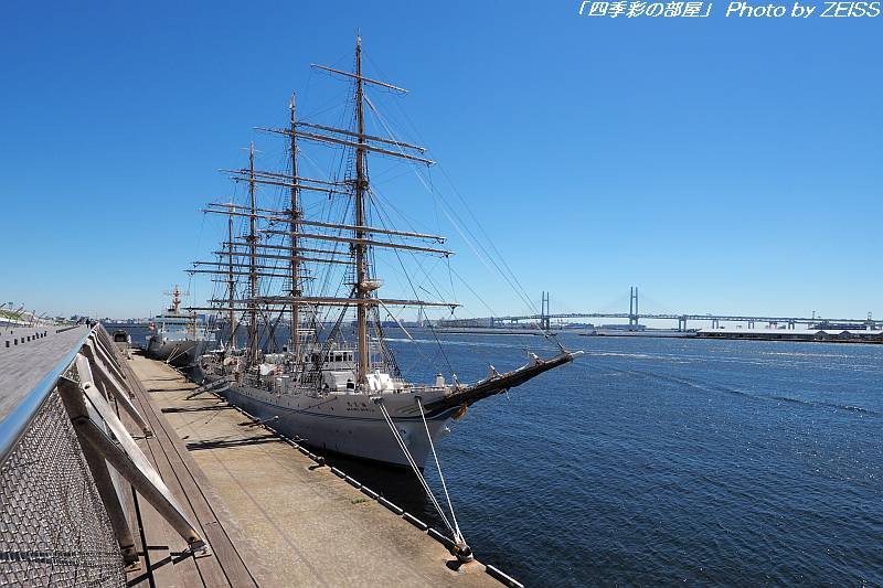 a0195032_13205063.jpg