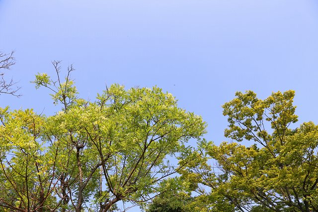a0242438_210338.jpg