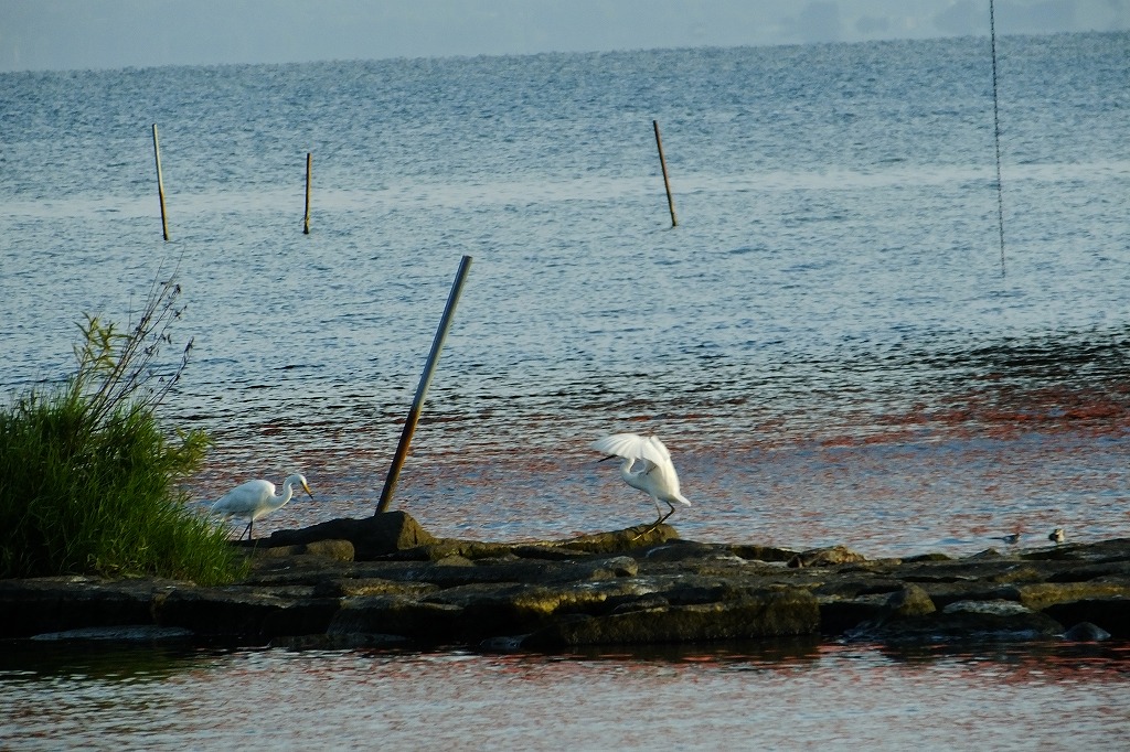 b0236251_1156173.jpg