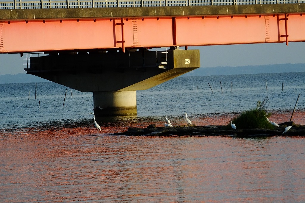 b0236251_11563338.jpg