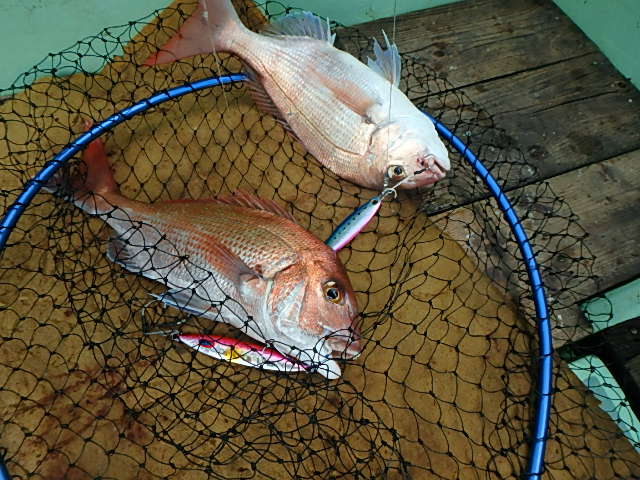 a0248152_16504415.jpg