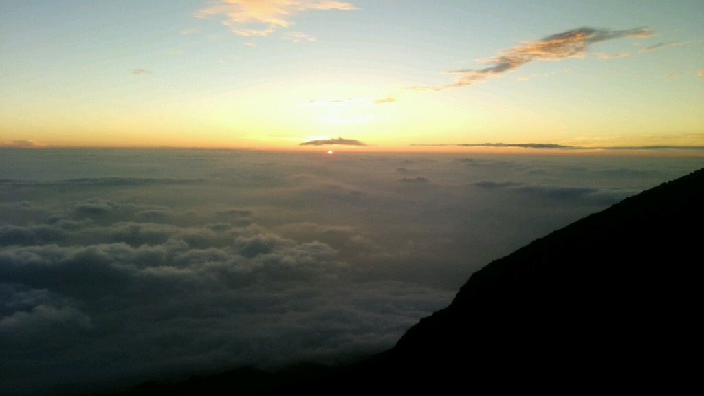 e0052353_23441596.jpg