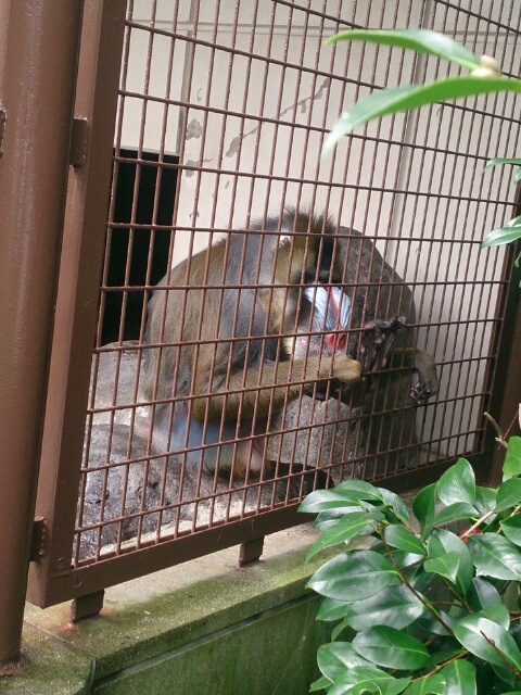 b0193754_18302813.jpg