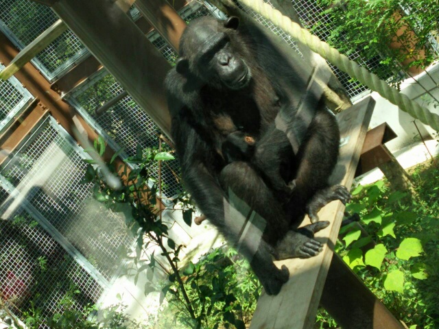 b0193754_18302838.jpg