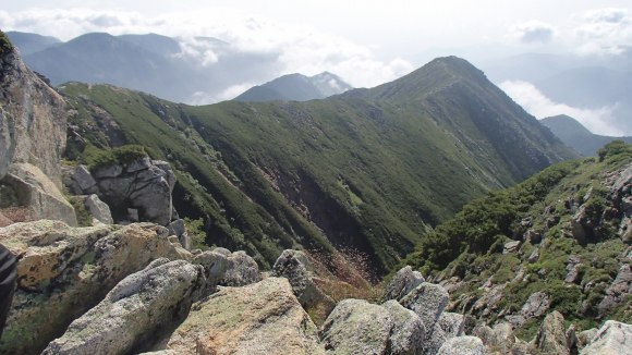 b0050067_18393681.jpg