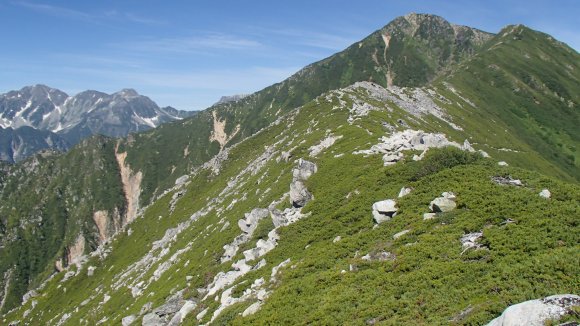 b0050067_18401772.jpg