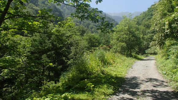 b0050067_184197.jpg