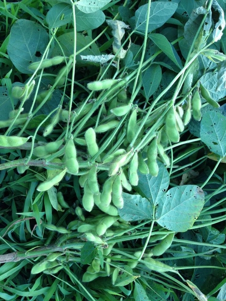 c0166668_13513953.jpg