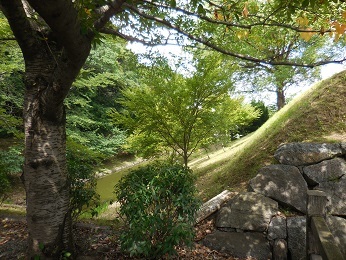 e0033570_21050227.jpg