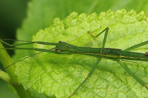e0249878_23241233.jpg