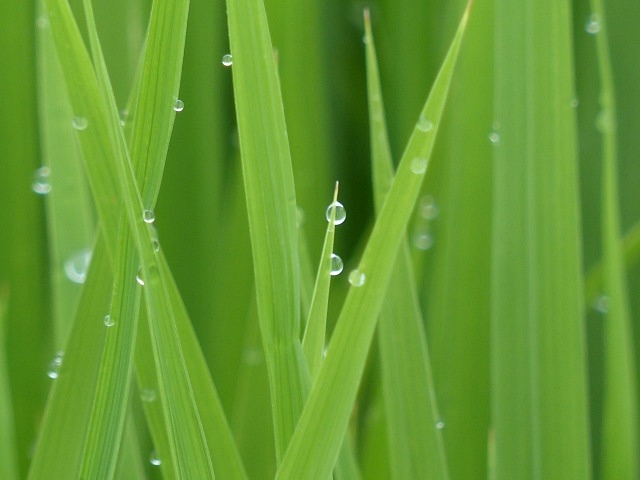 f0357487_21552719.jpg