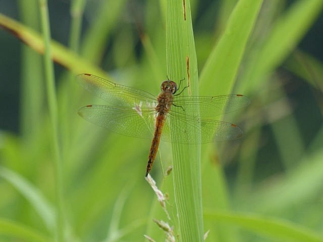 f0357487_21572686.jpg