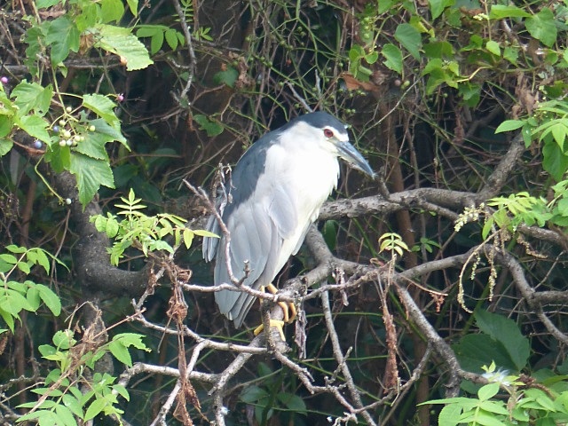 f0357487_2222197.jpg