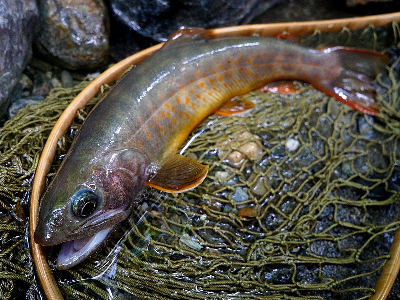 c0339900_7234557.jpg