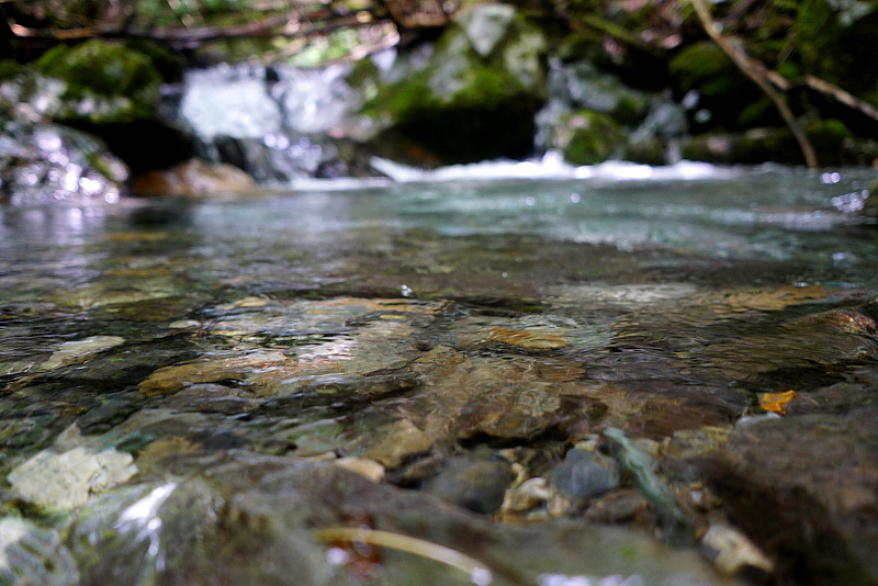 c0339900_7432464.jpg