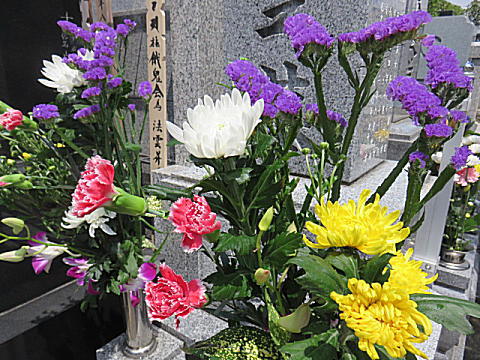 d0046702_2003291.jpg