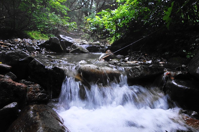 e0123808_2373232.jpg